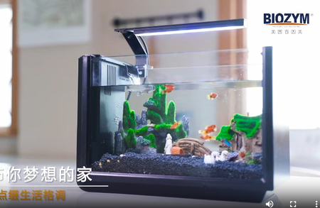 百因美鱼缸产品宣传